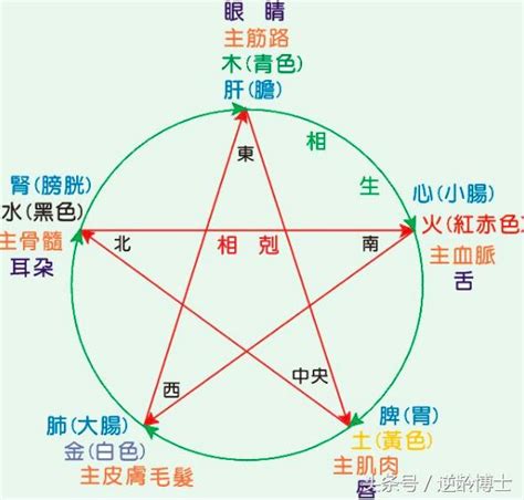 屬性怎麼看|教你快速查自己的五行屬性，入門篇（一看就 ...